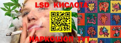 2c-b Канаш