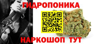 стафф Кандалакша