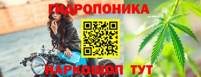стафф Кандалакша