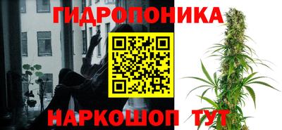 2c-b Канаш