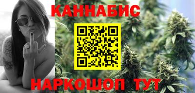прущие грибы Шахты