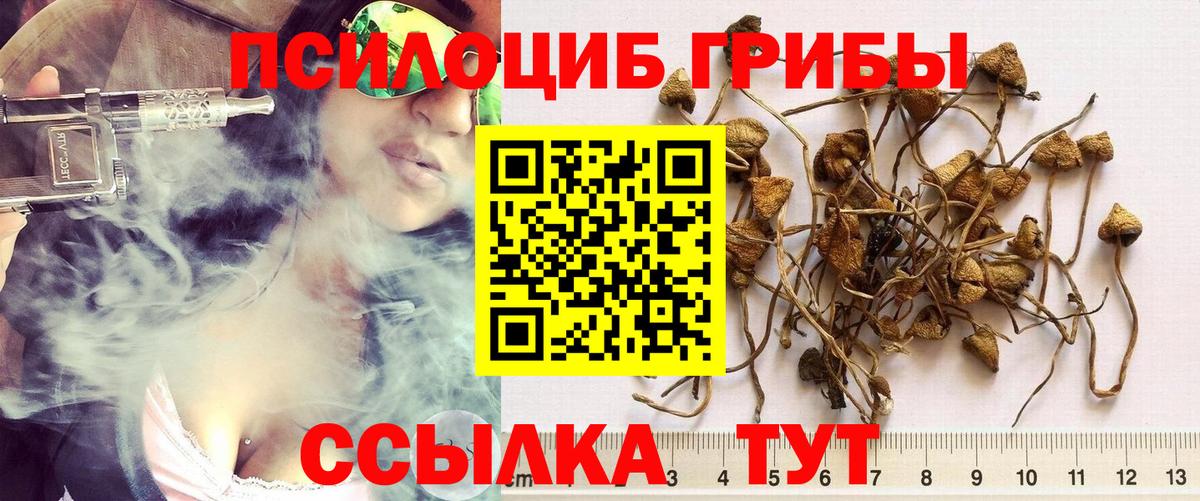 Галлюциногенные грибы Cubensis Куйбышев