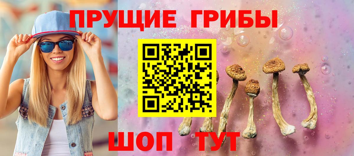 Псилоцибиновые грибы Psilocybine cubensis  Вход с VPN  Куйбышев  Псилоцибиновые грибы MAGIC MUSHROOMS 